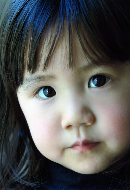 全日本写真連盟 TPF支部 2013年03月度・例会 優秀作品