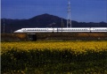 全日本写真連盟 TPF支部 2013年04月度・例会 優秀作品