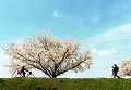 全日本写真連盟 TPF支部 2014年06月度・例会 優秀作品