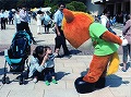 全日本写真連盟 TPF支部 2014年10月度・例会 優秀作品