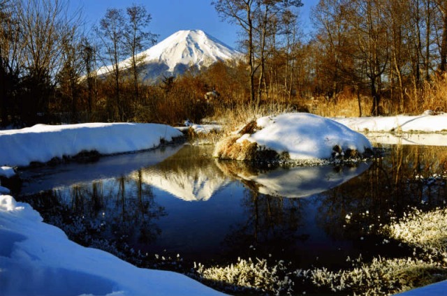 全日本写真連盟 TPF支部 2015年3月度・例会 優秀作品