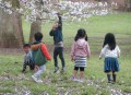 全日本写真連盟 TPF支部 2017年4月度例会 優秀作品