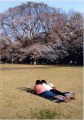 全日本写真連盟 TPF支部 2019年04月度例会 優秀作品