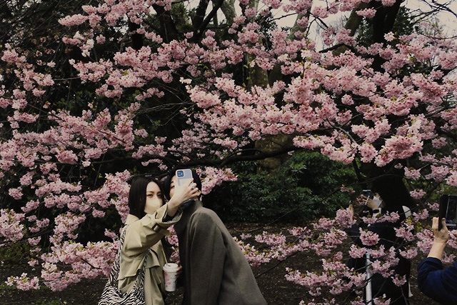 全日本写真連盟 TPF支部 2022年04月度例会 優秀作品　　