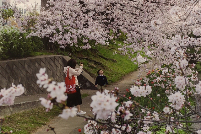 全日本写真連盟 TPF支部 2022年04月度例会 優秀作品