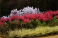 qq u_ސ쌧̗ۖؓv