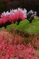 qq u_ސ쌧̗ۖؓv