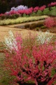 qq u_ސ쌧̗ۖؓv