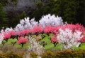 qq u_ސ쌧̗ۖؓv