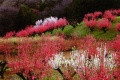 qq u_ސ쌧̗ۖؓv
