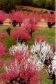 qq u_ސ쌧̗ۖؓv