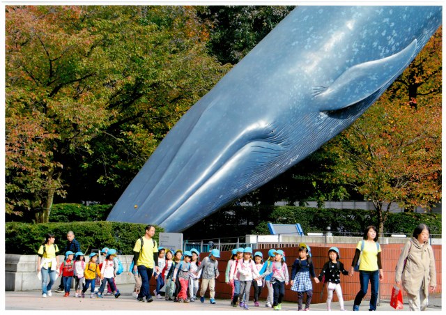 入選　「巨鯨の森」　北岡 義久

